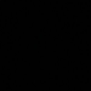 Meet your Posher, Mia